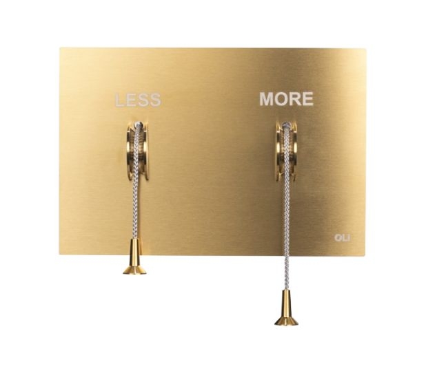 Stainless Steel Brushed Gold